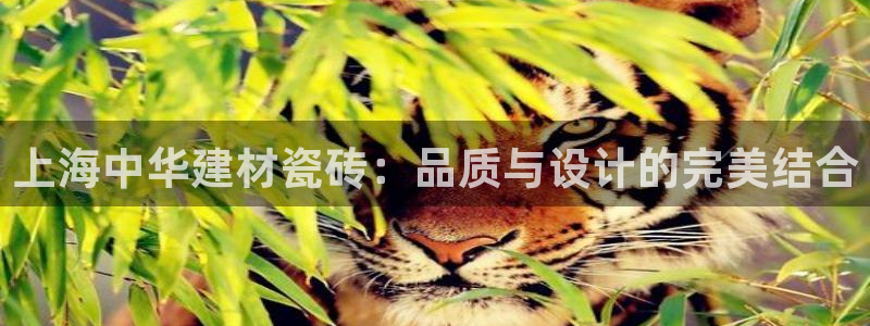杏鑫平台招商