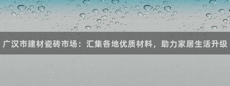杏鑫手机客户端怎么下载