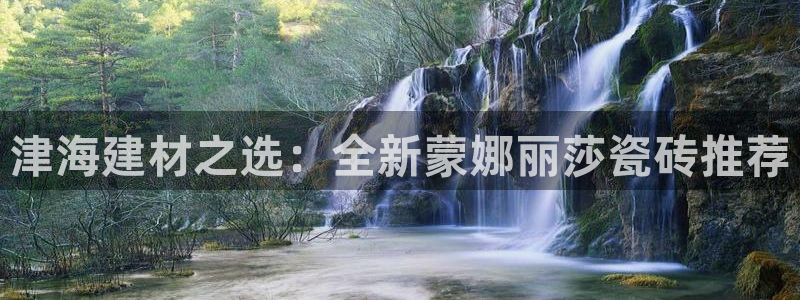 杏鑫平台是黑平台吗