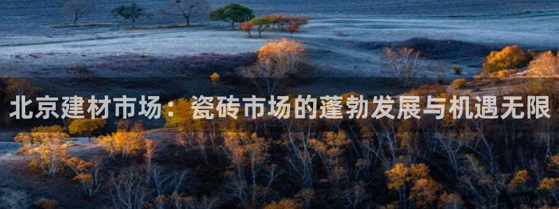 杏鑫平台待遇