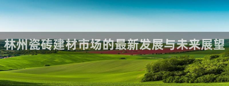 杏鑫招商总代
