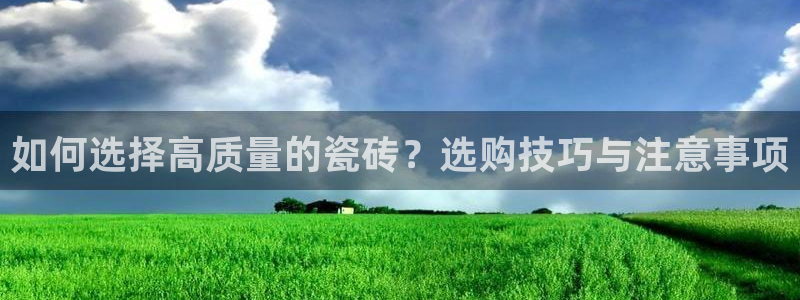 杏鑫招商总代