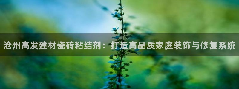 杏鑫平台代理