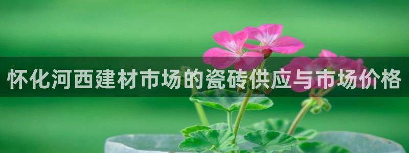 杏鑫手机客户端