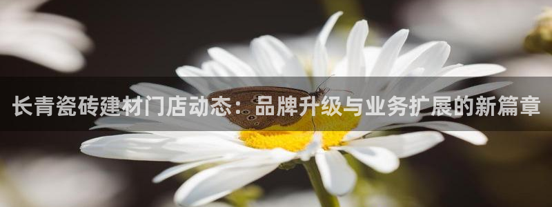 杏鑫官网最新信息新闻