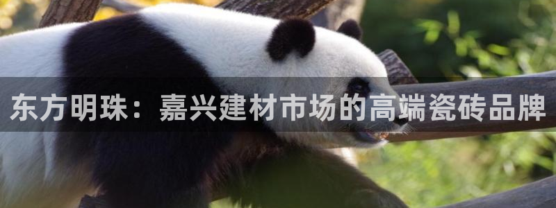 杏鑫平台登陆