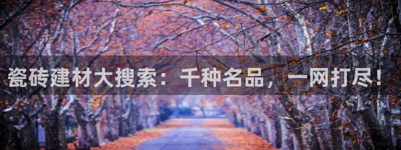 杏鑫平台招商