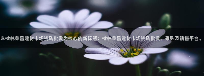 杏鑫娱乐怎么样