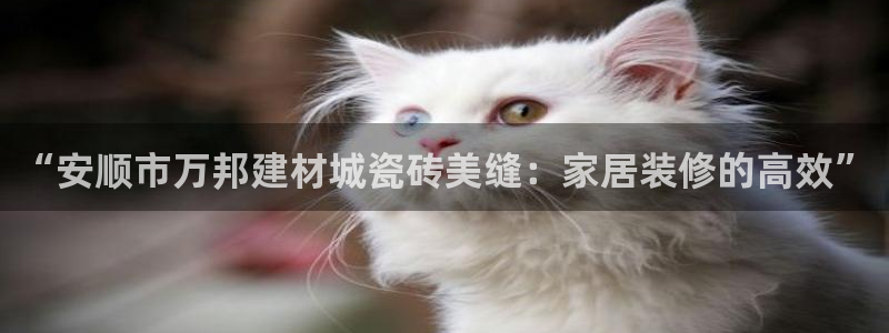 杏鑫官方app代理