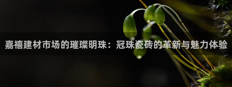 杏鑫娱乐官网下载