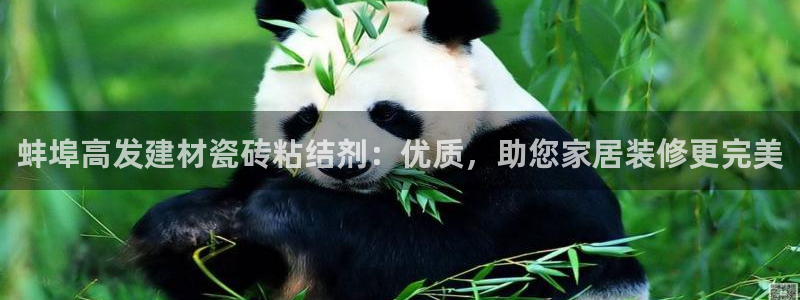 杏鑫平台直属