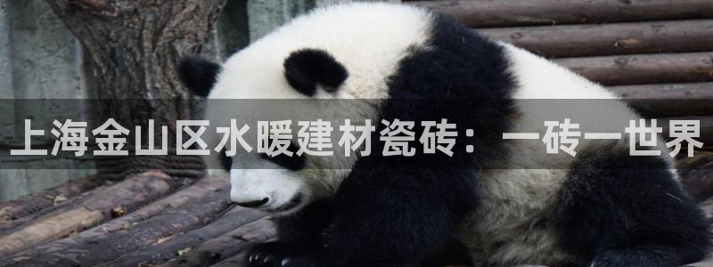 杏鑫娱乐平台测速