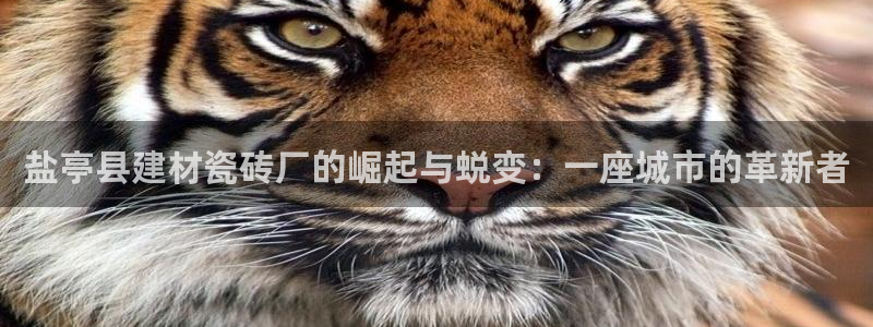 杏鑫娱乐测速