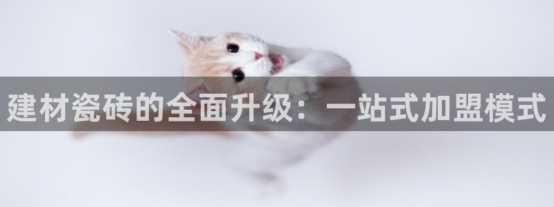 杏鑫招商总代