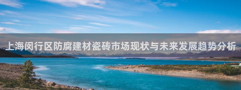 杏鑫娱乐开发团队