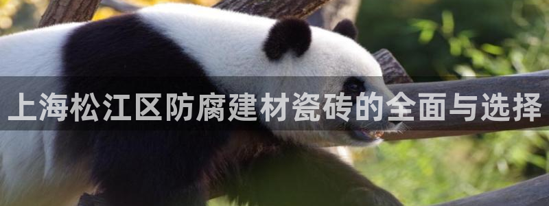 杏鑫娱乐负责人