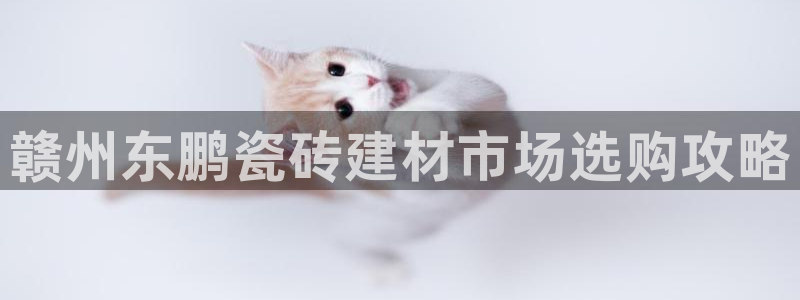 杏鑫官网注册账号是什么