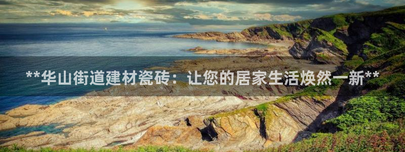 杏鑫注册登录代理公司