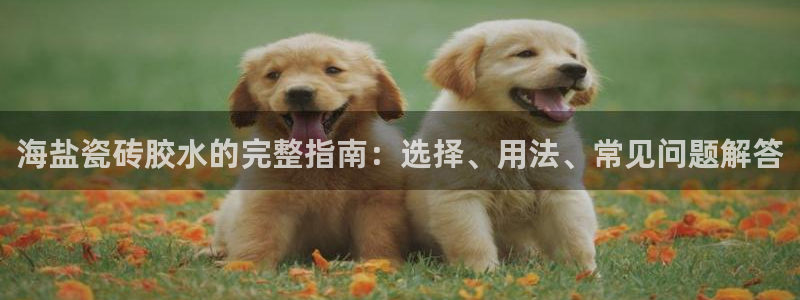 杏鑫官网注册账号