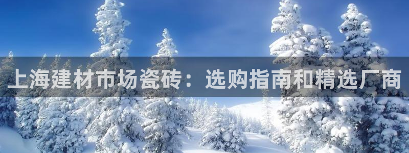 杏鑫平台代理注册流程