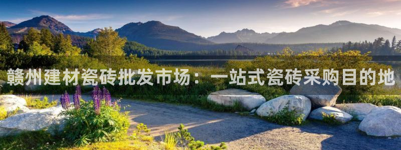 杏鑫平台登录地址在哪