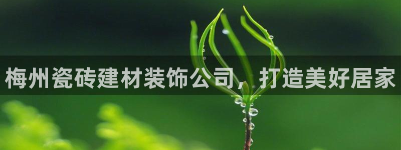 杏鑫注册登录平台是什么