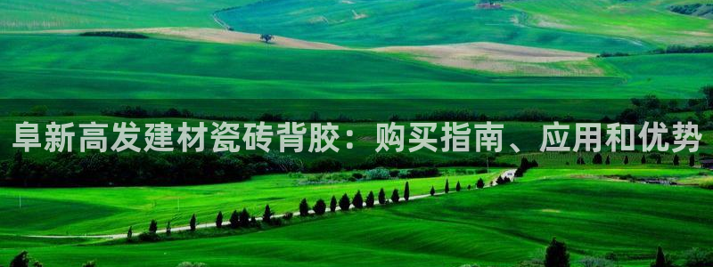 杏鑫注册登录平台是什么