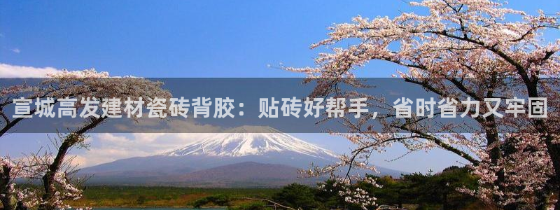 杏鑫代理注册登录