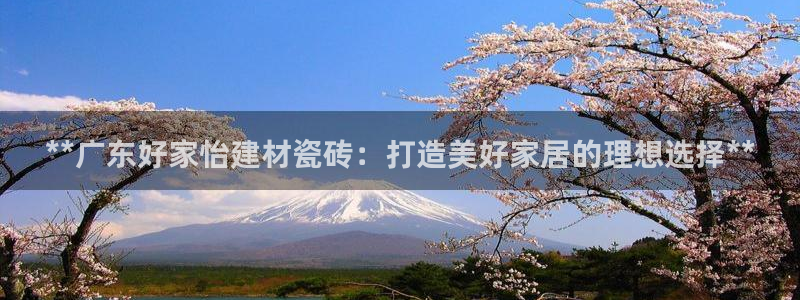 杏鑫注册登录平台是什么