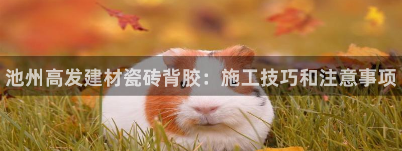 杏鑫平台注册网址查询