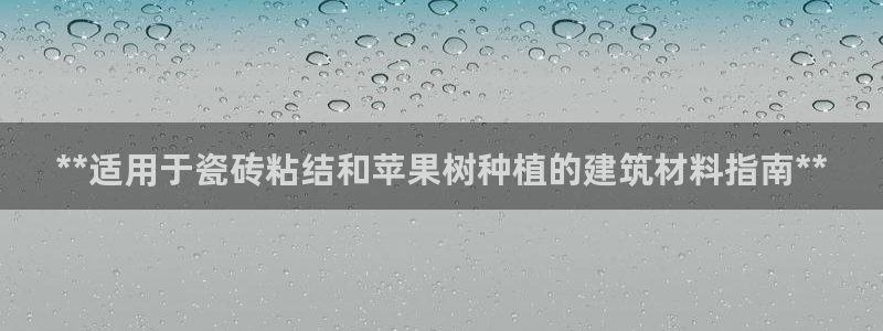 杏鑫平台代理注册