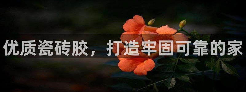 杏鑫平台代理注册登录不了怎么办呀