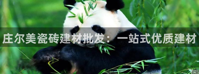 杏鑫平台注册地址是哪里