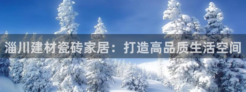 杏鑫官网注册账号是什么