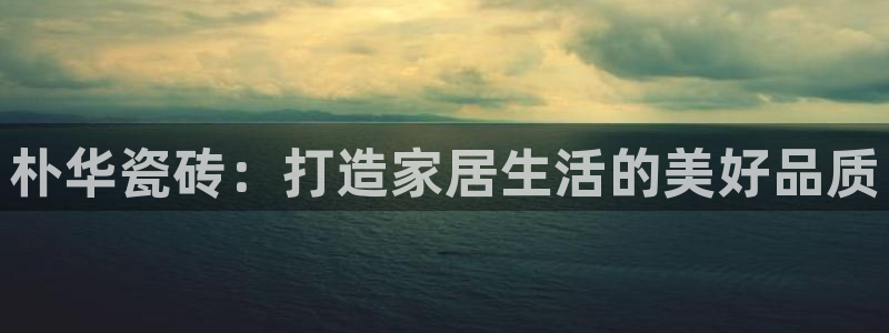 杏鑫平台代理注册流程图