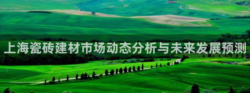 杏鑫平台代理注册流程