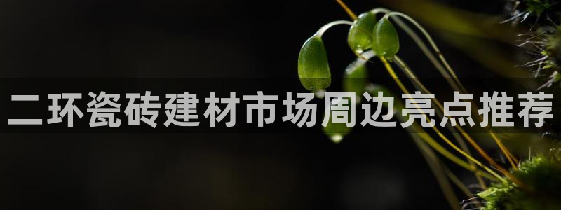 杏鑫平台代理注册流程视频