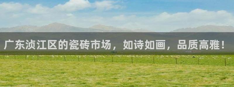 杏鑫平台代理注册多少钱啊