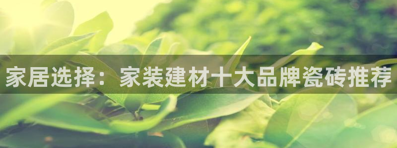 杏鑫官网注册账号是什么