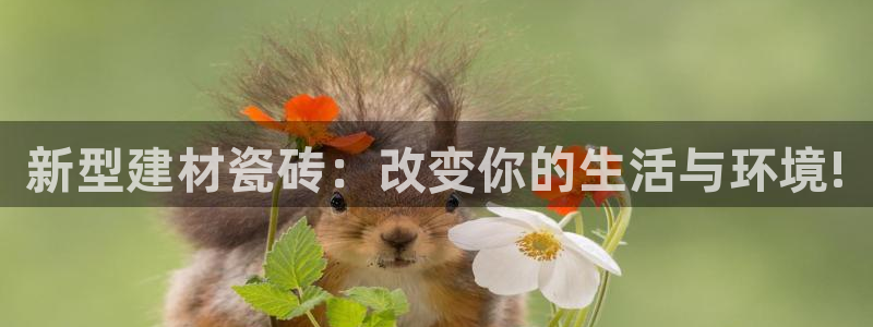 杏鑫注册登录网址是多少