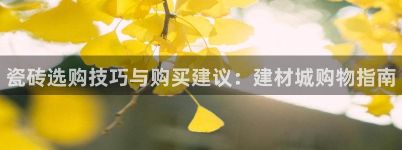 杏鑫平台注册入口