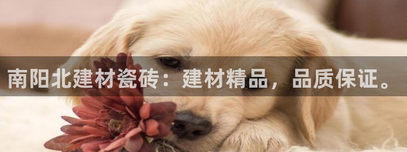 杏鑫官网注册账号怎么注册