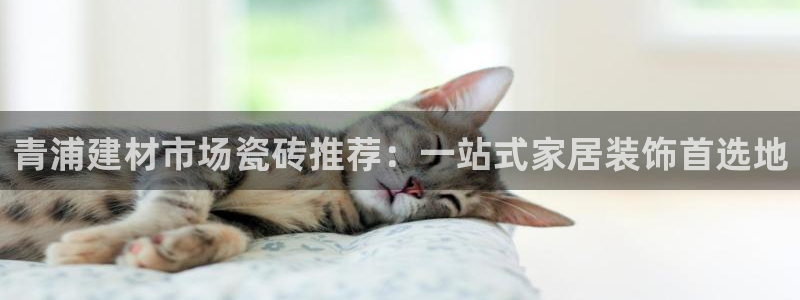 杏鑫代理注册平台