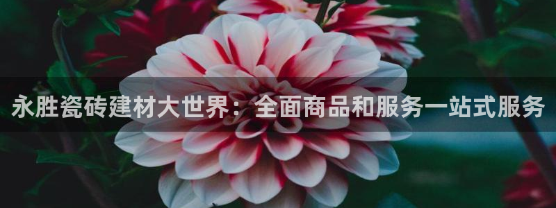 杏鑫官方平台怎么样啊