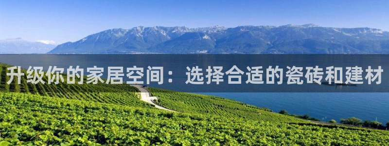 杏鑫官网注册账号是什么样的