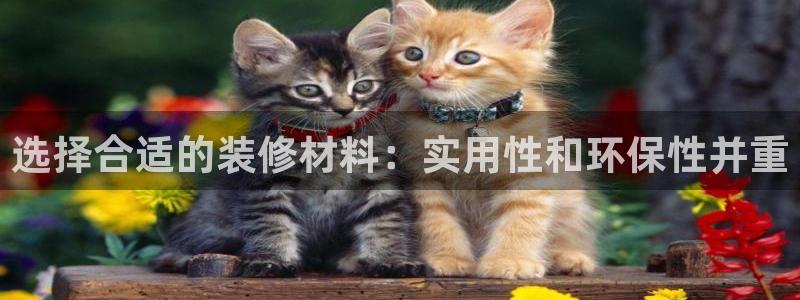 杏鑫注册登录网址是什么