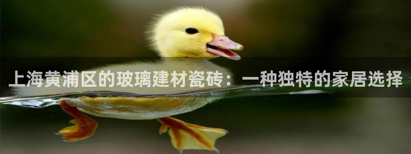 杏鑫官网最新信息