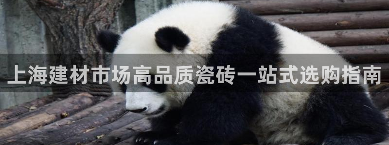 杏鑫官方平台怎么样啊安全吗