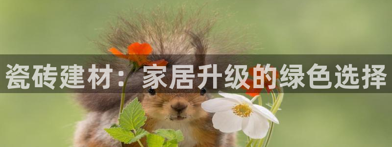 杏鑫官网注册账号怎么注册的