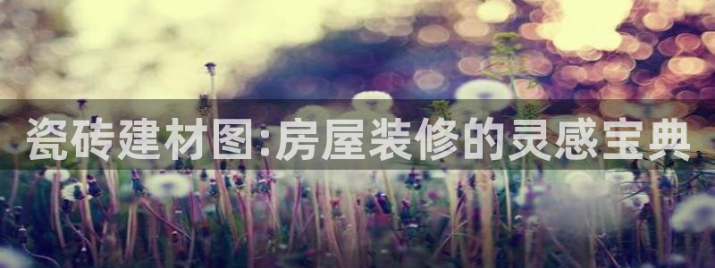 杏鑫官网注册账号